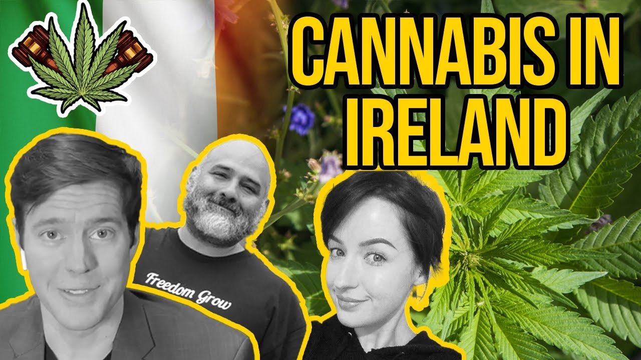 Cannabis Use and Health in Ireland