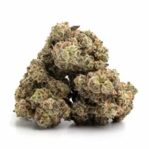 Buy Godzilla Glue Strain in Ireland