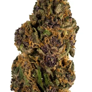 Buy Forbidden Fruit Strain Ireland