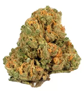 Buy Jack Herer Strain Ireland