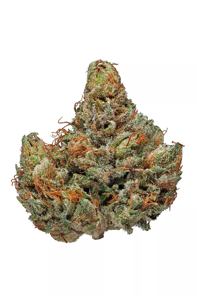 Buy Master Kush Strain Ireland