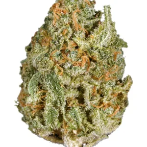 Buy White Rhino Strain in Ireland