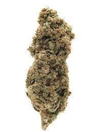 Alternative view of White Rhino strain